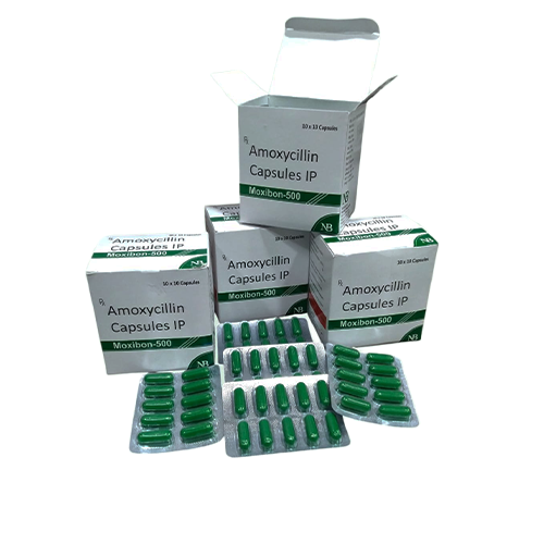 Moxibon-500 Cap – Amoxycillin 500mg | Nexbon Lifesciences